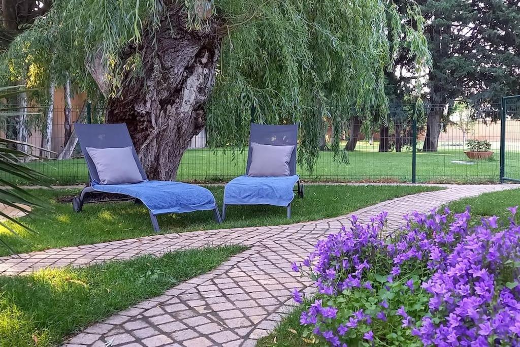 Logement lumineux, entièrement rénové avec jardin Caumont-sur-Durance Extérieur photo