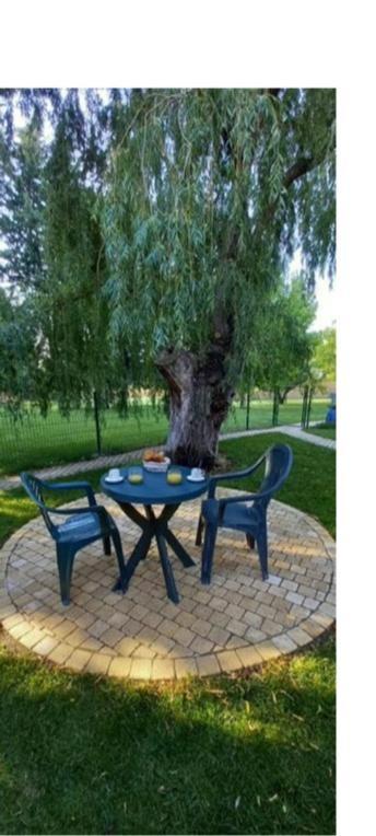 Logement lumineux, entièrement rénové avec jardin Caumont-sur-Durance Extérieur photo